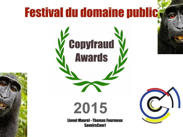 Copyfraud Awards !