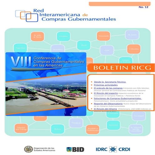 Copy of boletin ricg edición 12