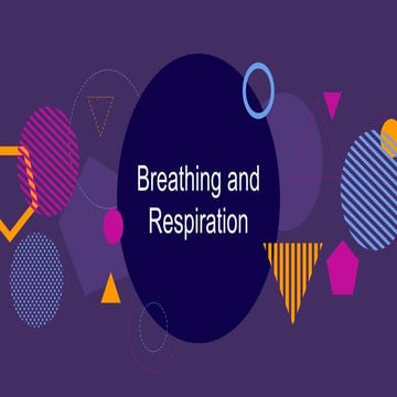 Copy of Breathing and Respiration (1).pptx