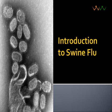 Introduction To H1N1