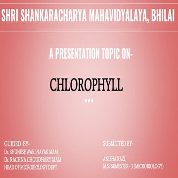 CHLOROPHYLL PIGMENT (1).pptx