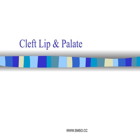cleft lip & palate