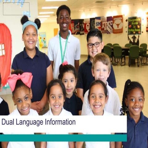 Copy of dl overview information