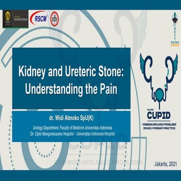Principle of management of rt flank pain | PPT