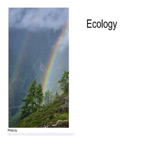 Copy of ecology