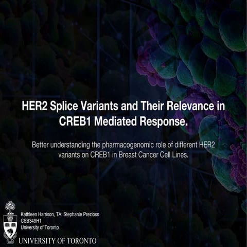 Research Proposal for Treatment of HER2+ Breast Cancer | PDF