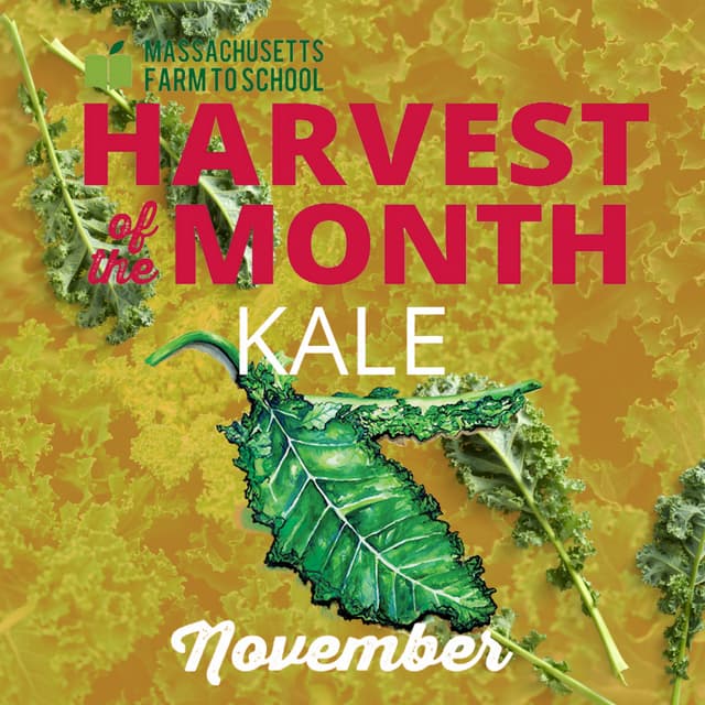 November Harvest of the Month Kale PDF