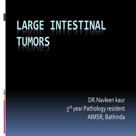 Large intestinal tumors