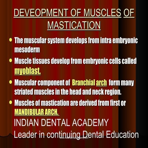 Development of muscles of mastication / dental implant courses