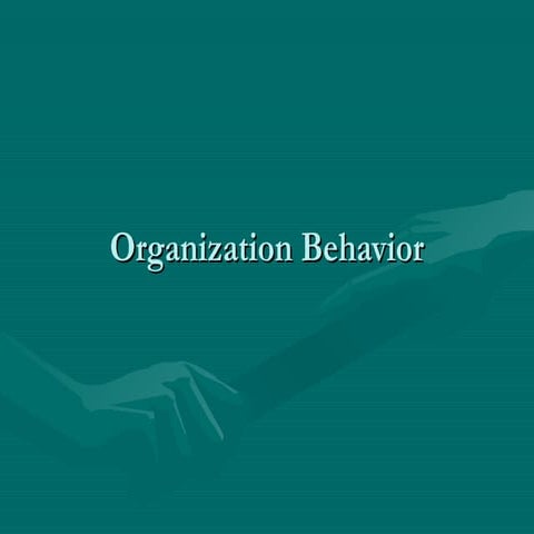 Copy of organization behavior2