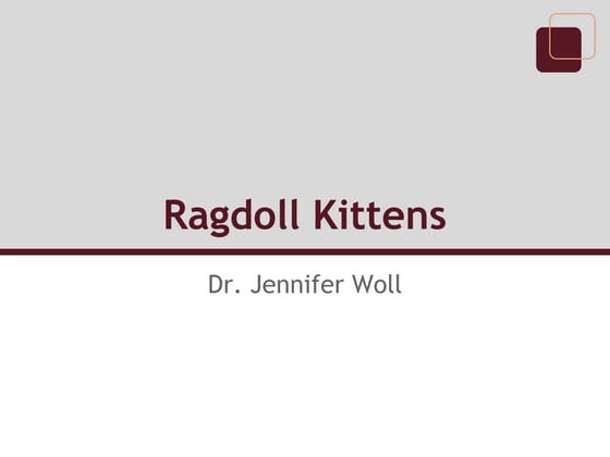 The Basics of the Ragdoll Cat Breed | PPTX