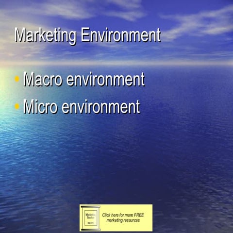 Copy of the marketing environment and competitor analysis