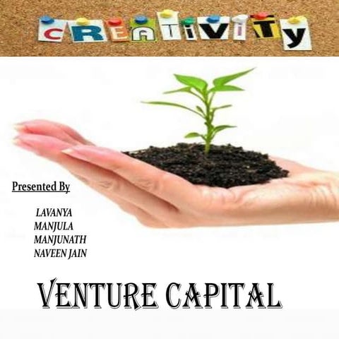  venture capital