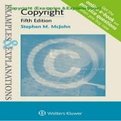 ⚡PDF download Copyright (Examples &amp; Explanations)