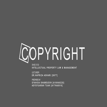 Copyright infringements 2019
