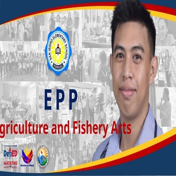 Uri ng mga halaman, Halamang Ornamental.