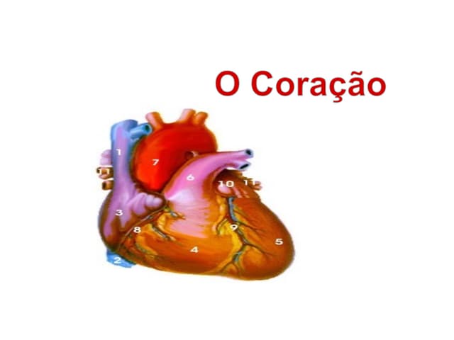 Coracao