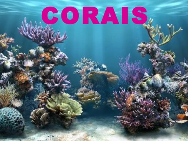 Corais