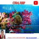 Coral reef and its type, formation 