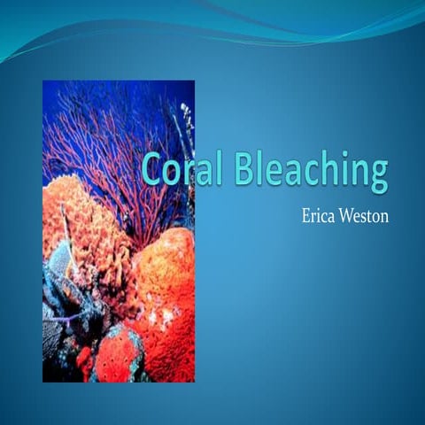 Coral bleaching In ocean