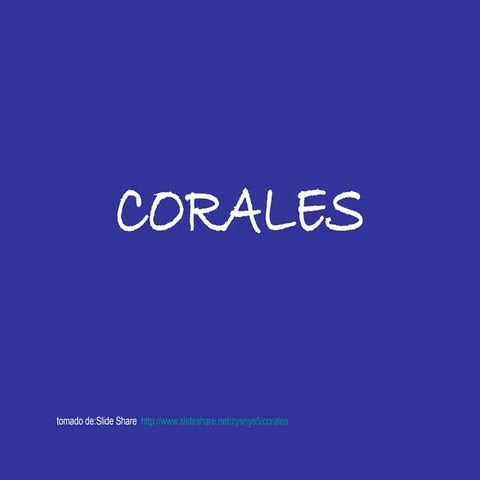 Corales290