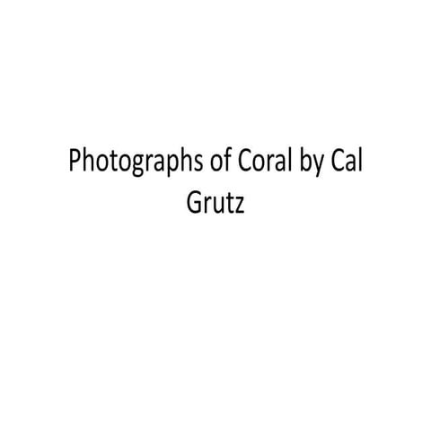 Coral photos