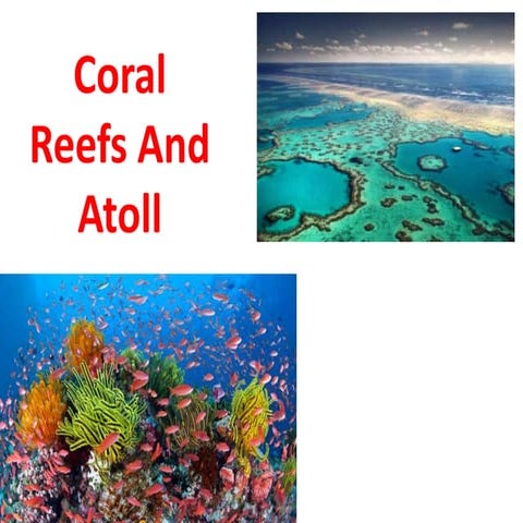 Coral reef ( IAS Exam, Geography Optional)