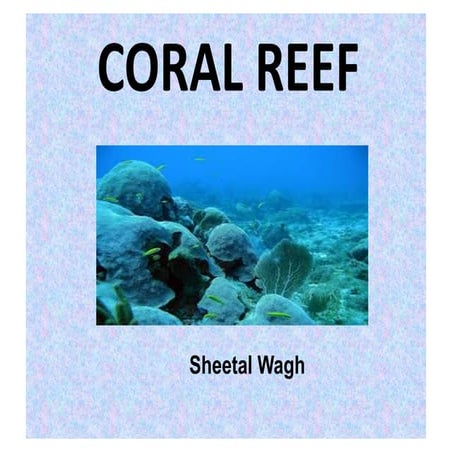 Coral Reef