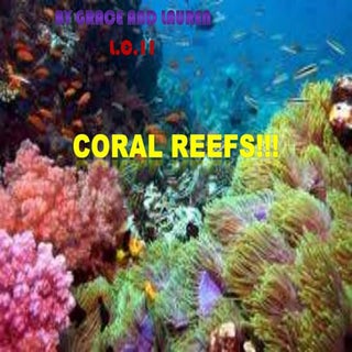 Coralreef gracelauren