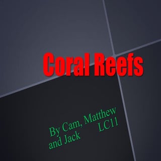Coral reefs cam jackmatthew