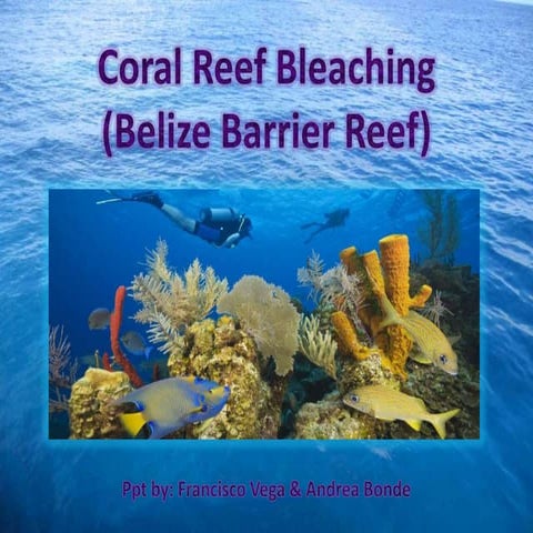 Coral reefs vega bonde