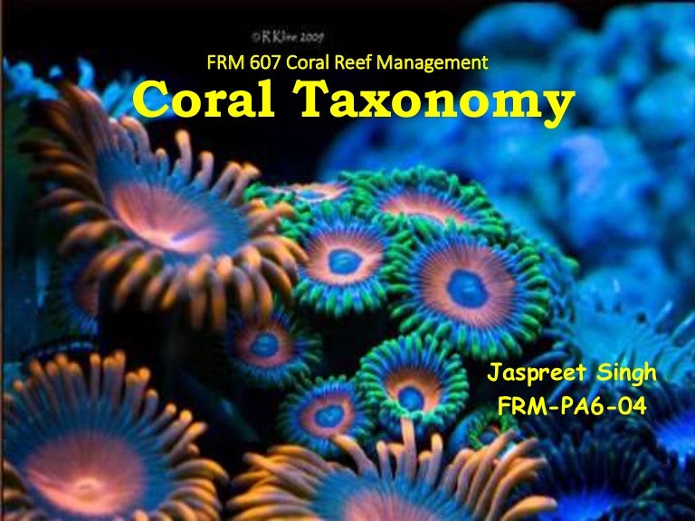 Coral taxonomy