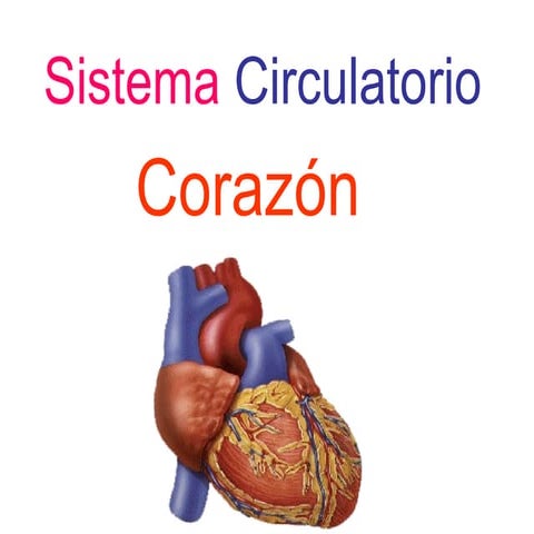 CorazóN