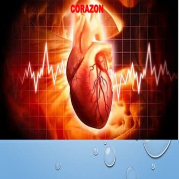 CORAZÓN PATOLOGÍA ESPECIAL MAPA CONCEPTUAL | PDF