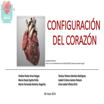 Configuración del  corazón