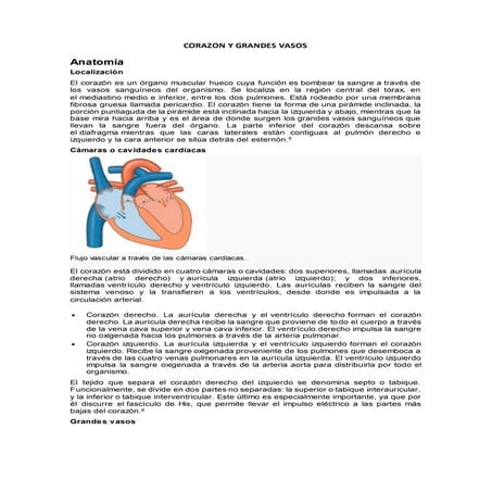 Corazon y grandes vasos