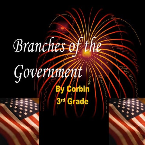 Branches of the Government