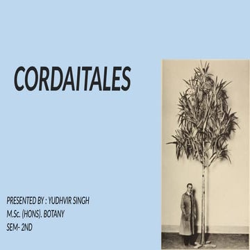 Cordaitales - Yudhvir Singh Checked[1].pptx gymnosperms