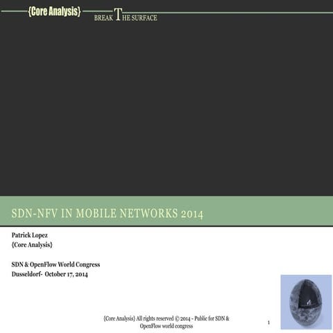 Core analysis:State of SDN-NFV in wireless networks 2014