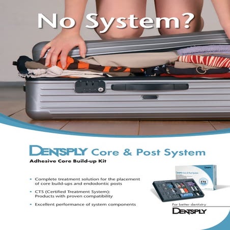 Core and post system