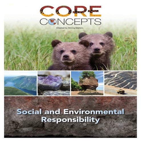Core Concepts Social  Environmental Responsibility