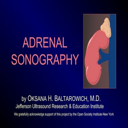 CORE CURRICULUM LECTURE 20 ADRENAL SONOGRAPHY .ppt