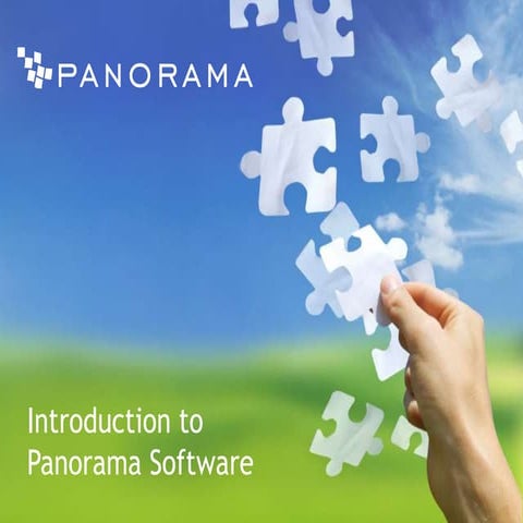 Panorama Business Intelligence Solution