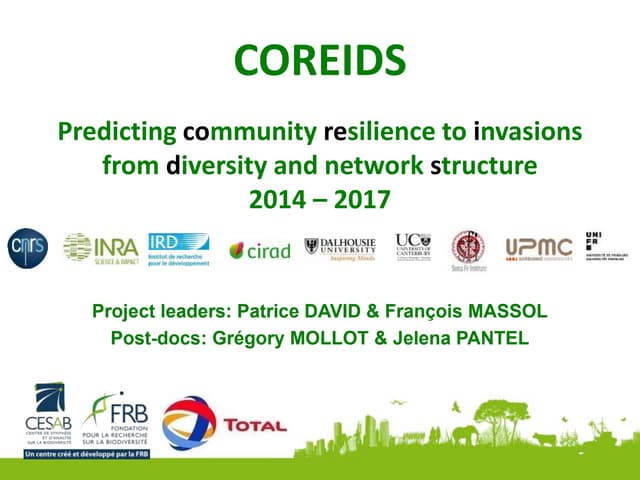 Coreids massol 171107