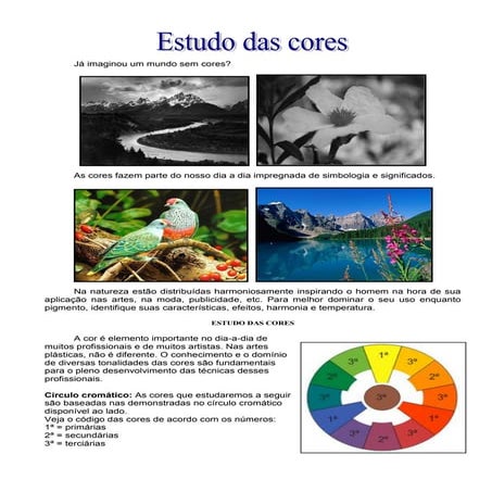 Cores    estudo das cores