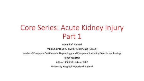 Adeel Rafi Ahmed presentations