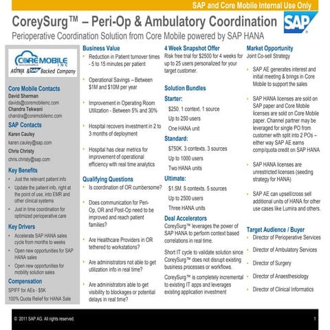 CoreySurg Solution Reference for SAP