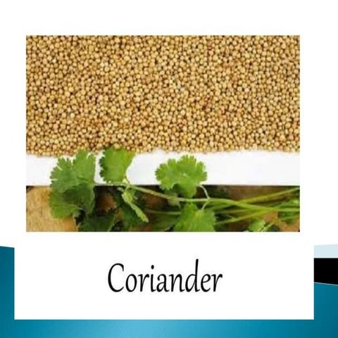 Coriender and funnel.ppt
