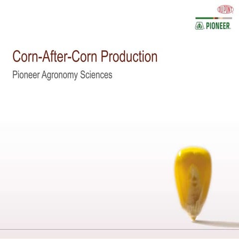 Corn-after-Corn Production