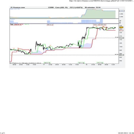 Corn dual megatrend closeup